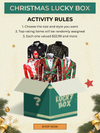 Christmas Lucky Mystery Box