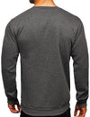 Men's Round Collar Fall Winter Warm Long Sleeve Fleece Sweatshirt