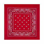 Men's Cotton Outdoor Neck Multicolor Paisley Bandana Square Scarf